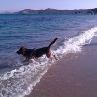  Viaggio di nozze in Italia nessuno. Perché? - 2