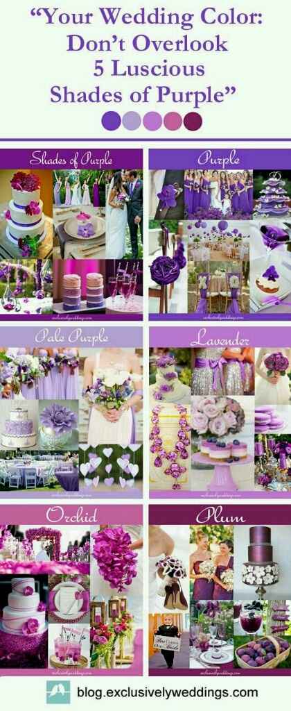 Meglio giallo/arancio o lilla/viola? - 2