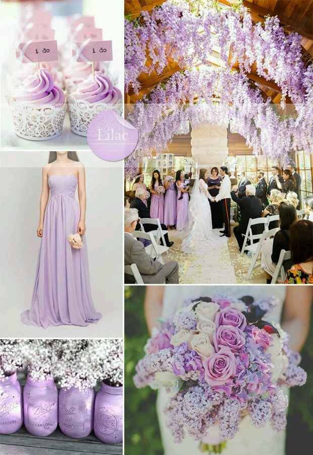 Meglio giallo/arancio o lilla/viola? - 3