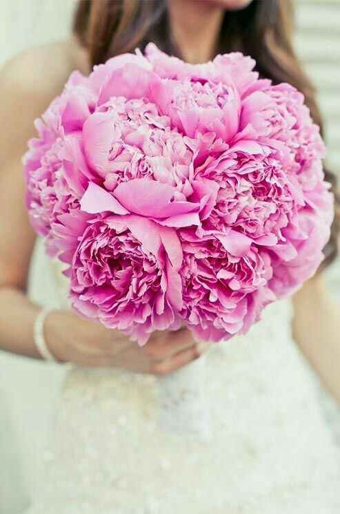 Bouquet fucsia - 24