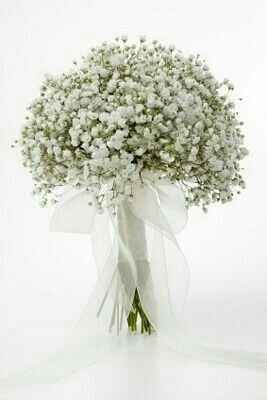 Bouquet di gypsophila - 10