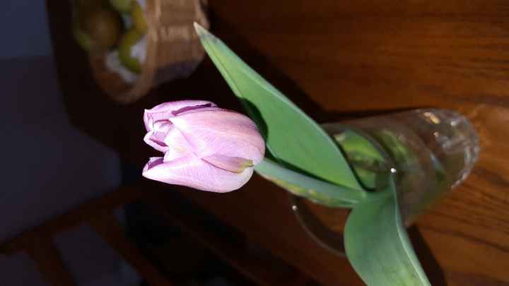 Bouquet di peonie - 2