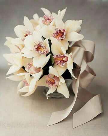 Bouquet di orchidee - 12