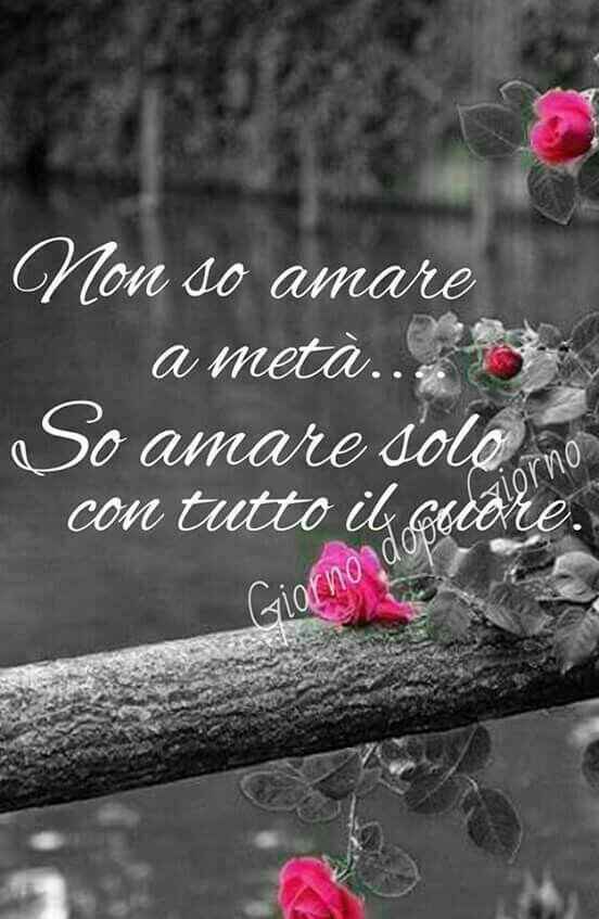Frasi d'amore corte - 4