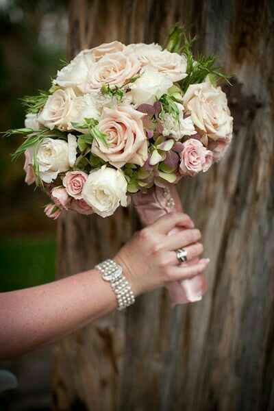 Che delicatezza. - 10