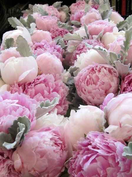 Bouquet peonie - 1