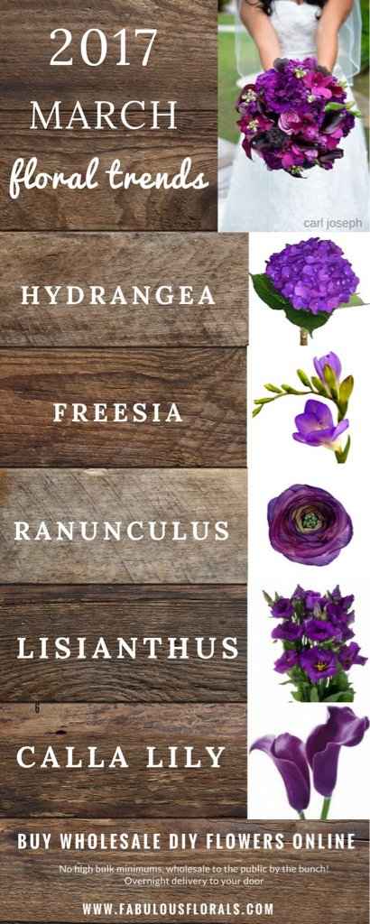 Tendenze 2017 marzo - 1