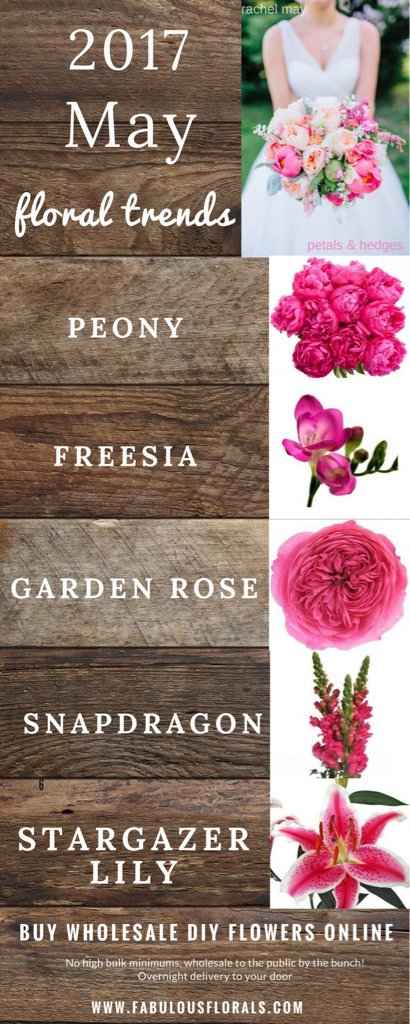 Tendenze 2017 maggio - 1