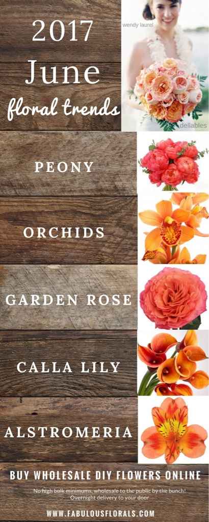 Tendenze 2017 giugno - 1