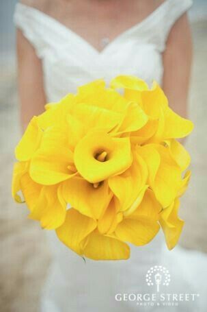 Bouquet giallo - 10