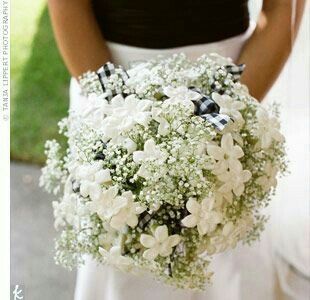 Bouquet di gypsophila - 2