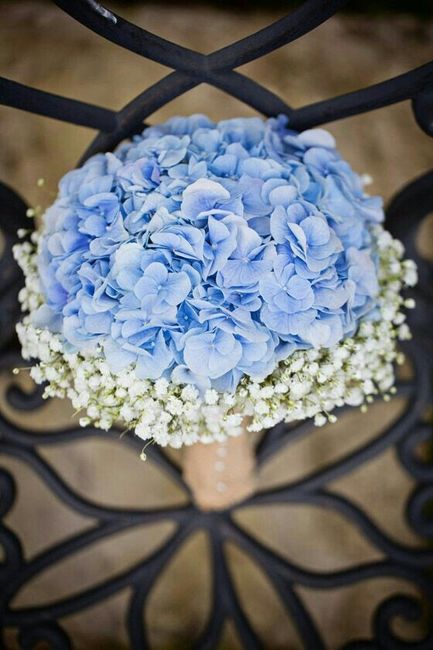 Bouquet blu: quali fiori? 4