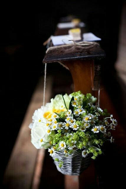 Aiuto cerco consiglio fiori - 2