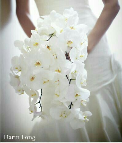 Bouquet di orchidee - 5