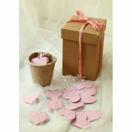 Carta seminabile - 5