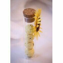 Carta seminabile - 7