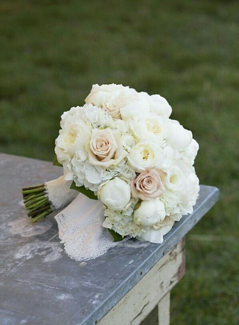 Che delicatezza. - 7