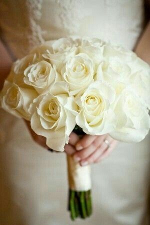 Che delicatezza. - 13