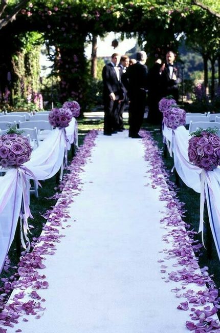 Una spruzzata di viola - 10