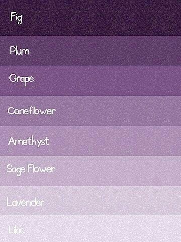 Una spruzzata di viola - 25