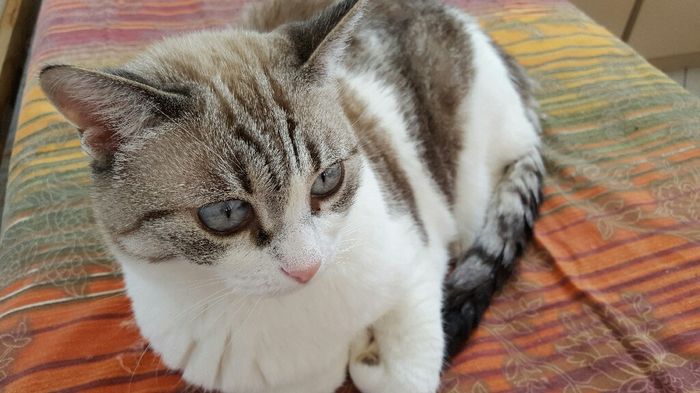 Abbiamo allargato la famiglia! - 4