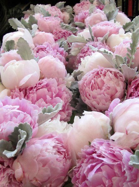 Bouquet peonie - 1