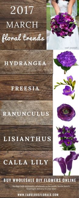 Tendenze 2017 marzo - 1