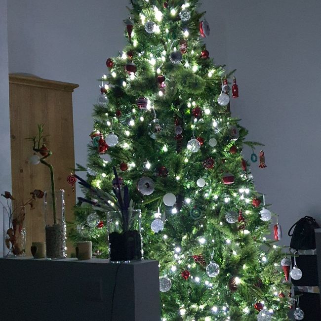 Avete mai fatto l'albero insieme? 1