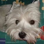 Samantha