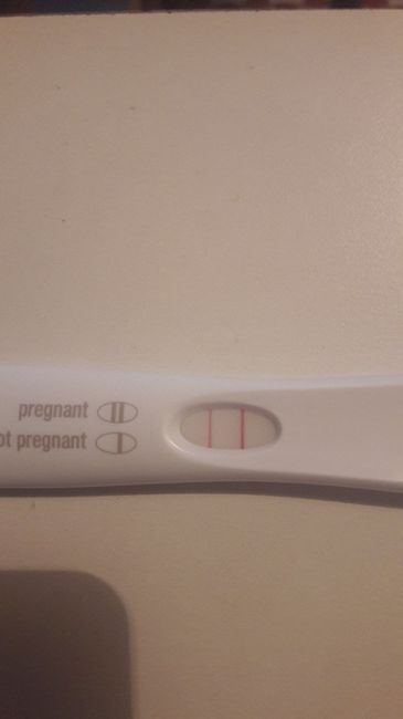 Febbraio 2019 - le aspiranti future mamme - 1