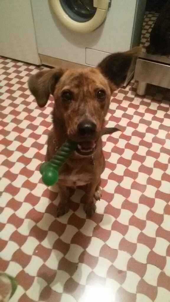 Vi presento nina! - 1