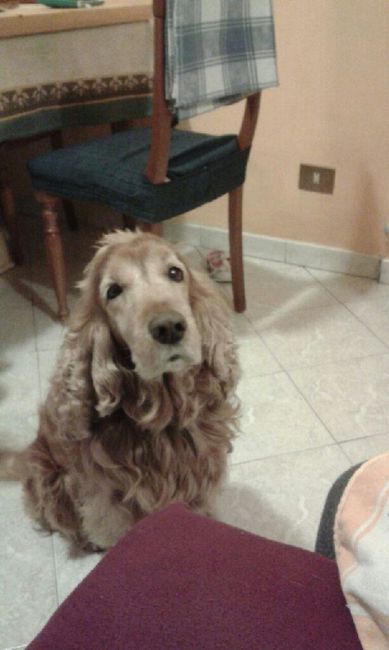 Vi presento nina! - 2