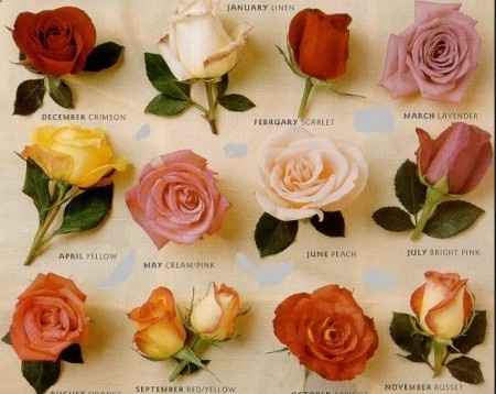 Rose di tutti i tipi per gli addobbi floreali!! - 1