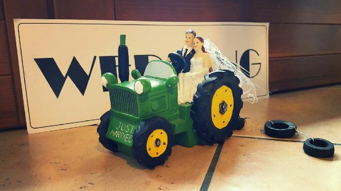 Finalmente il nostro caketopper - 1