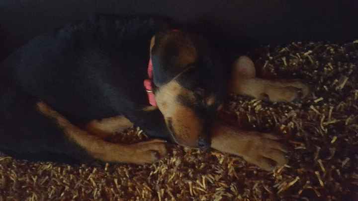 Ecco il nostro "bimbo" - 1