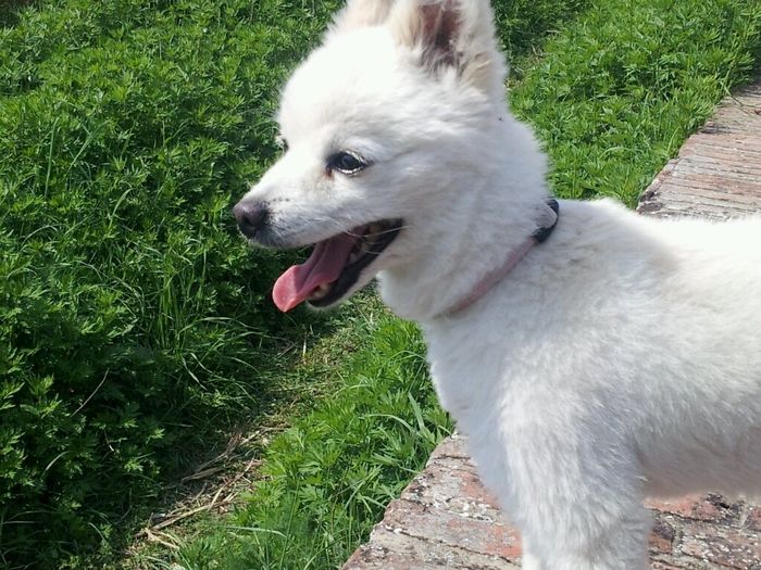 Tristezza infinita.. - 1