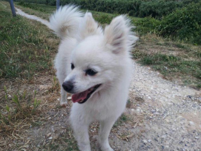 Ecco il nostro "bimbo" - 1