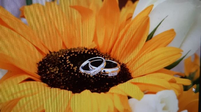 Che tipo di porta fedi vorreste? 3