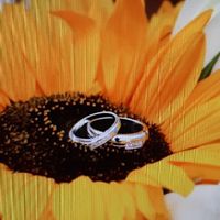 Che tipo di porta fedi vorreste? - 1