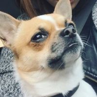 Il più bel regalo ricevuto 💝 - 1