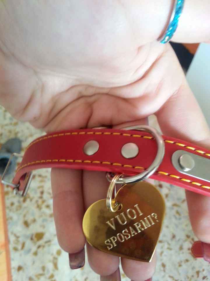 Come ti ha fatto la proposta di matrimonio? - 2