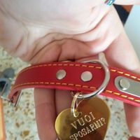 Come ti ha fatto la proposta di matrimonio? - 2