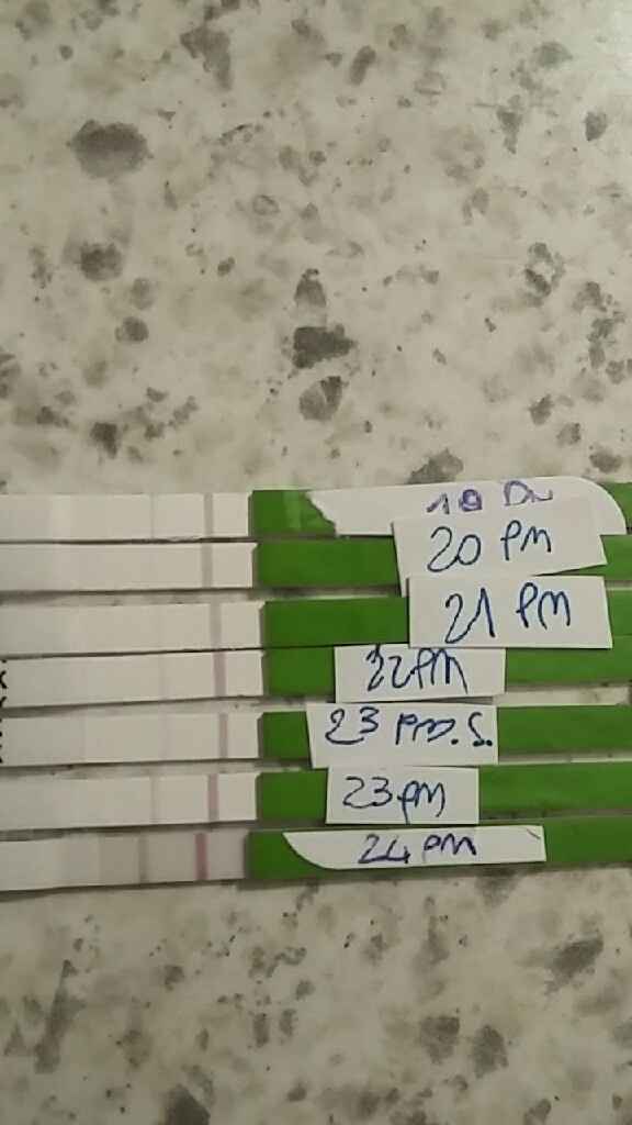 Ricerca gravidanza e dentista - 1