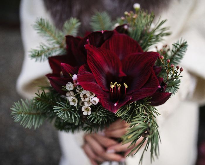 Sfoglia il catalogo e scegli il bouquet 4