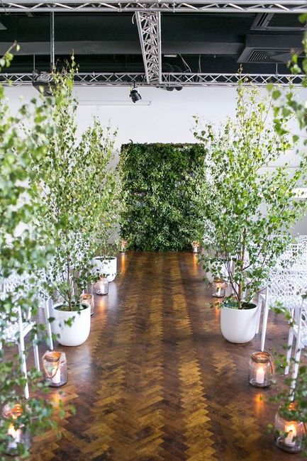 Decorazioni di nozze alternative ai fiori: piante 7