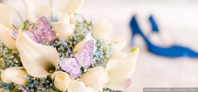 Quale tema scegliereste? 3