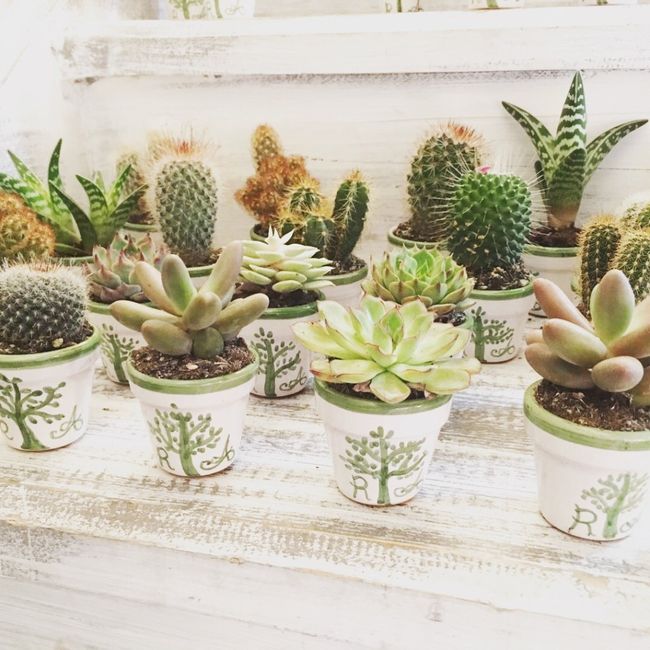 S.o.s. bomboniere 🙈!! Help me!! 2