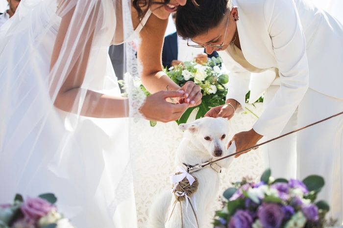 Auguri ai nostri amici a quattro zampe che averanno sempre un posto speciale nel nostro cuore 3