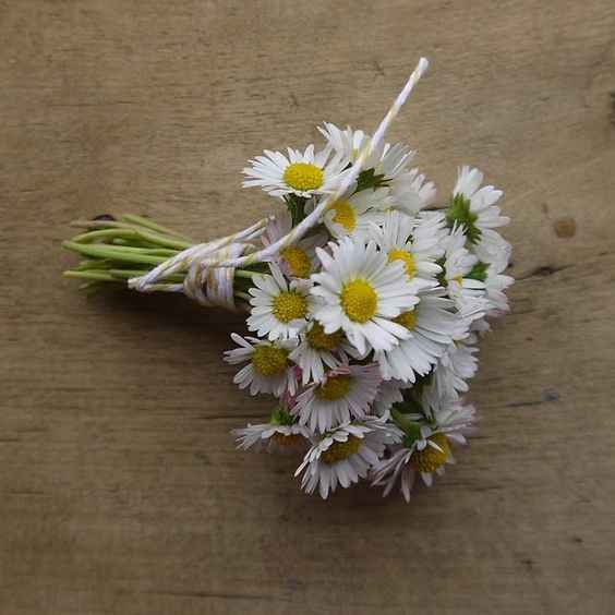 bouquet nozze in montagna a luglio