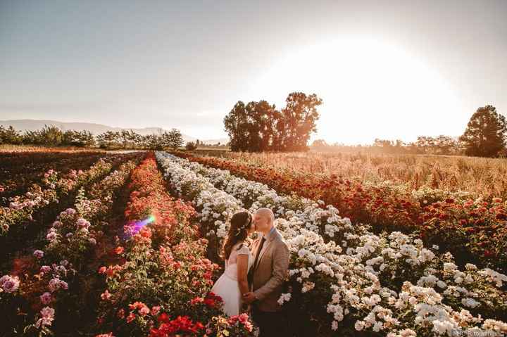 Destination wedding: Chile